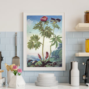 pastel Waterverf pioen illustratie Poster