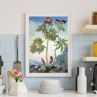  pastel Waterverf pioen illustratie Poster