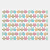 Pastel Winter Owls Wrapping Paper Sheets (Voorkant)