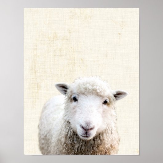 Pastel Yellow Peekaboo Sheep Minimalist Nursery Poster (Voorkant)