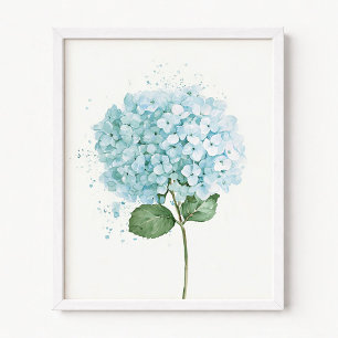Pastelblauwe Aquarel Hydrangeabloem Poster