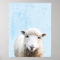 Pastelblauwe Peekaboo Schaap Minimalistische Nurse