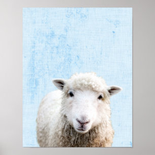 Pastelblauwe Peekaboo Schaap Minimalistische Nurse Poster