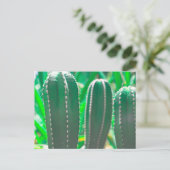 Pastelgroene cactusplantenblaadjes pastel briefkaart (Staand voorkant)