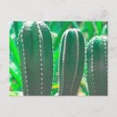 Pastelgroene cactusplantenblaadjes pastel briefkaart (Voorkant)