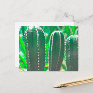 Pastelgroene cactusplantenbladeren pastel briefkaart