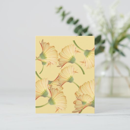 Pastelkleur Gele Daisy Background Briefkaart (Staand voorkant)