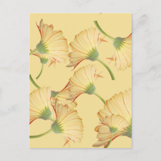 Pastelkleur Gele Daisy Background Briefkaart