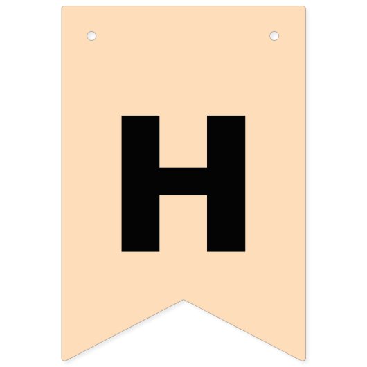  pastelkleuren esthetisch happy birthday vlaggetjes (Tweede vlag)