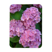 Pastelroze Hortensia hydrangea bloem Magneet (Verticaal)