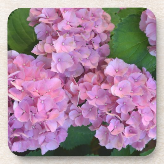 Pastelroze Hortensia hydrangea bloemen    Bier Onderzetter (Voorkant)