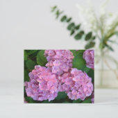 Pastelroze Hortensia hydrangea bloemen Briefkaart (Staand voorkant)