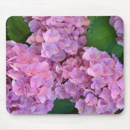 Pastelroze Hortensia hydrangea bloemen Muismat (Voorkant)