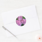 Pastelroze Hortensia hydrangea bloemen  Ronde Sticker (Envelop)