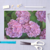 Pastelroze Hortensia hydrangea bloemen Tissuepapier (Craft)