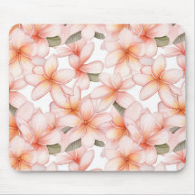  Pastelroze Plumeria Frangipani Bloemen