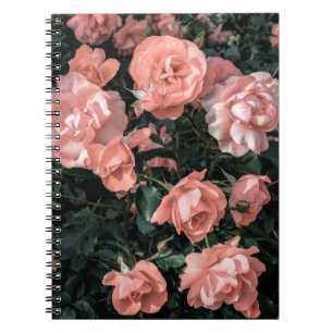 Pastelroze rozen in de tuin in zachte li notitieboek