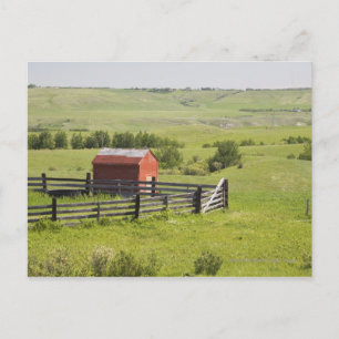 Pastingvelden met een rode kraan en een omheind ge briefkaart