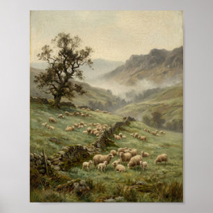 Pastoraal schaapskudde weidelandschap I Poster