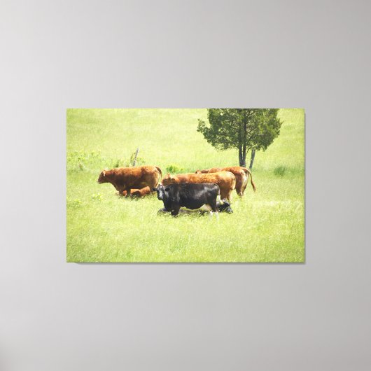Pastoral Canvas Afdruk (Voorkant)