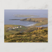 Pastoral Irish Coast Briefkaart (Voorkant)