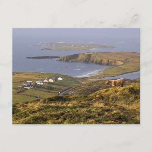 Pastoral Irish Coast Briefkaart (Voorkant)