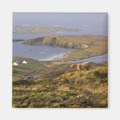 Pastoral Irish Coast Magneet (Voorkant)