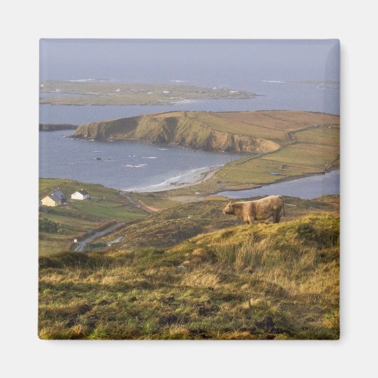 Pastoral Irish Coast Magneet (Voorkant)