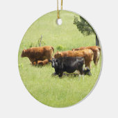 Pastoral Keramisch Ornament (Links)