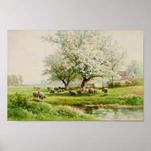 Pastoral Landscape Carl Weber Fine Art Waterverf Poster