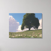 Pastorale Canvas Print (Voorkant)