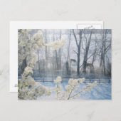 Pastorale Natuur in de winter Briefkaart (Voorkant / Achterkant)