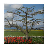 Pastorale scène tegeltje (Voorkant)