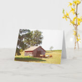 Pasture 4 kaart (Gele Bloem)