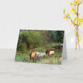 Pasture Birthday Kaart (Gele Bloem)