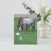 Pasture Briefkaarten #1 (Staand voorkant)