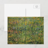 Pasture in Bloom door Vincent van Gogh Briefkaart (Voorkant / Achterkant)