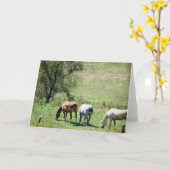 Pasture paarden kaart (Gele Bloem)
