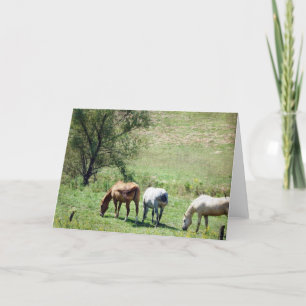 Pasture paarden kaart