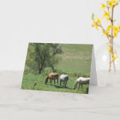 Pasture paarden kaart (Gele Bloem)