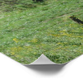 Pasture paarden poster (Hoek)