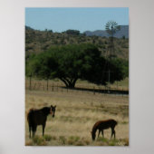 Pasture Perfect Poster (Voorkant)