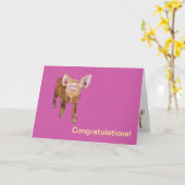 Pasture Pig Congrats Kaart (Gele Bloem)