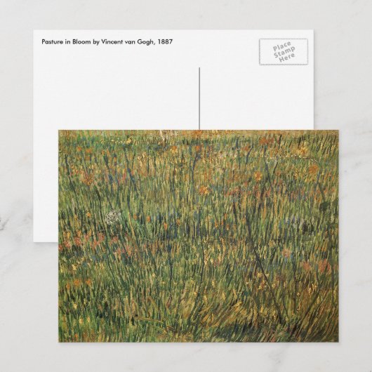 Pastuur in Bloom door Vincent van Gogh, kunst Briefkaart (Voorkant / Achterkant)