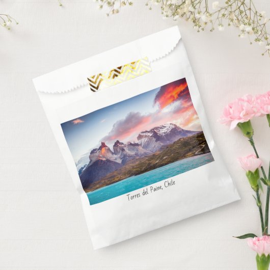 Patagonia Bedankzakje (Gezegeld)