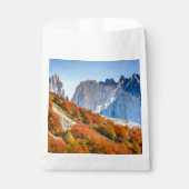 Patagonia Bedankzakje (Voorkant)