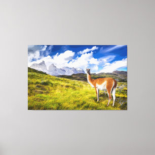 Patagonia Canvas Afdruk