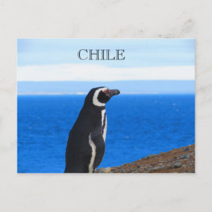 Patagonia Chili Briefkaart