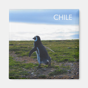 Patagonia Chili Penguin Magnet