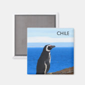 Patagonia Chili Penguin Magnet (Voorkant / Achterkant)